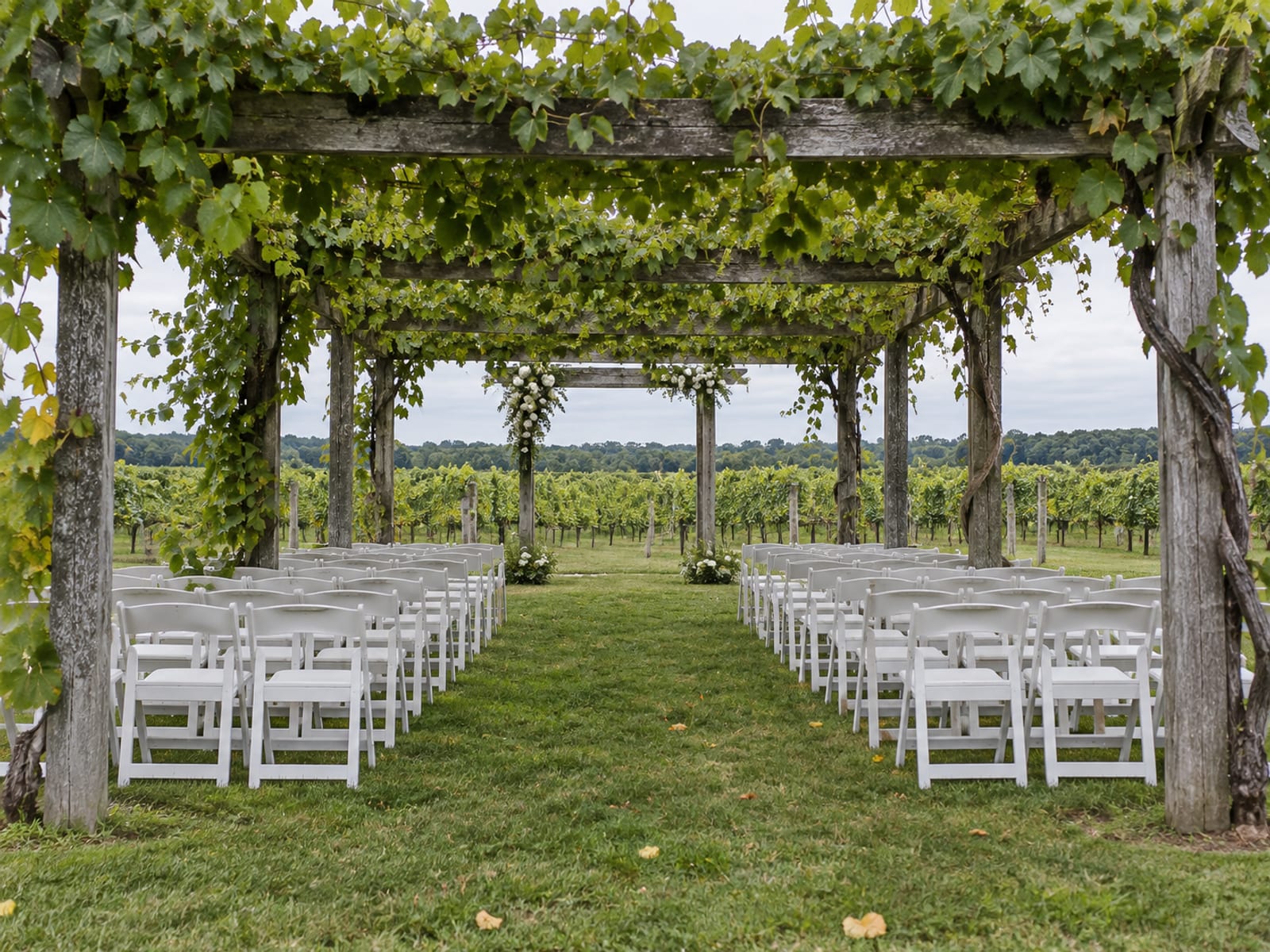 A long wooden pergola covered in grapevine leaves at the edge of a vineyard, rows of white folding chairs set beneath it for a ceremony